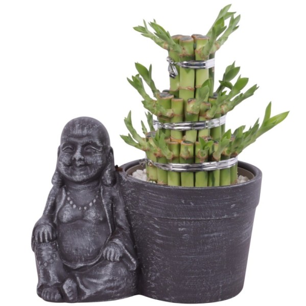 Lucky Bamboo boule à trois étages