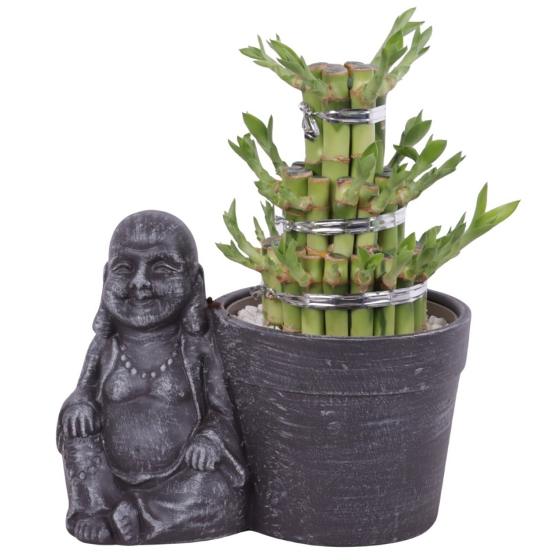 Lucky Bamboo boule à trois étages