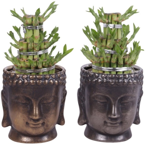 Lucky Bamboo boule à trois étages