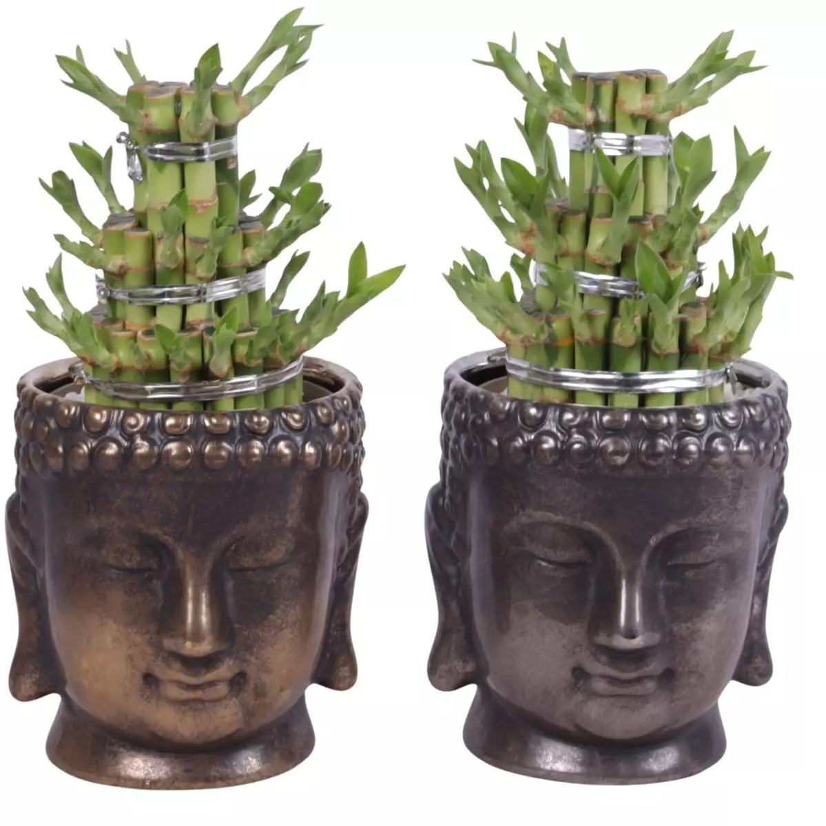 Lucky Bamboo boule à trois étages