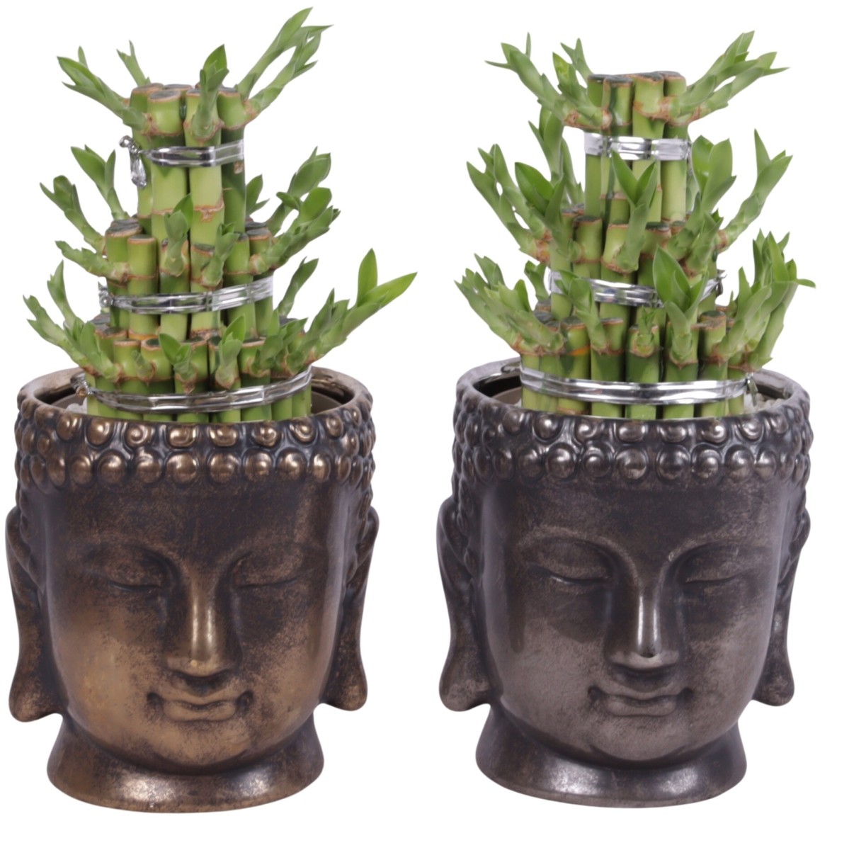 Lucky Bamboo boule à trois étages