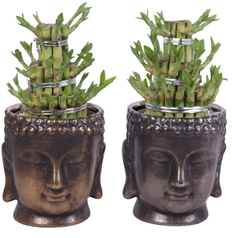 Lucky Bamboo boule à trois étages