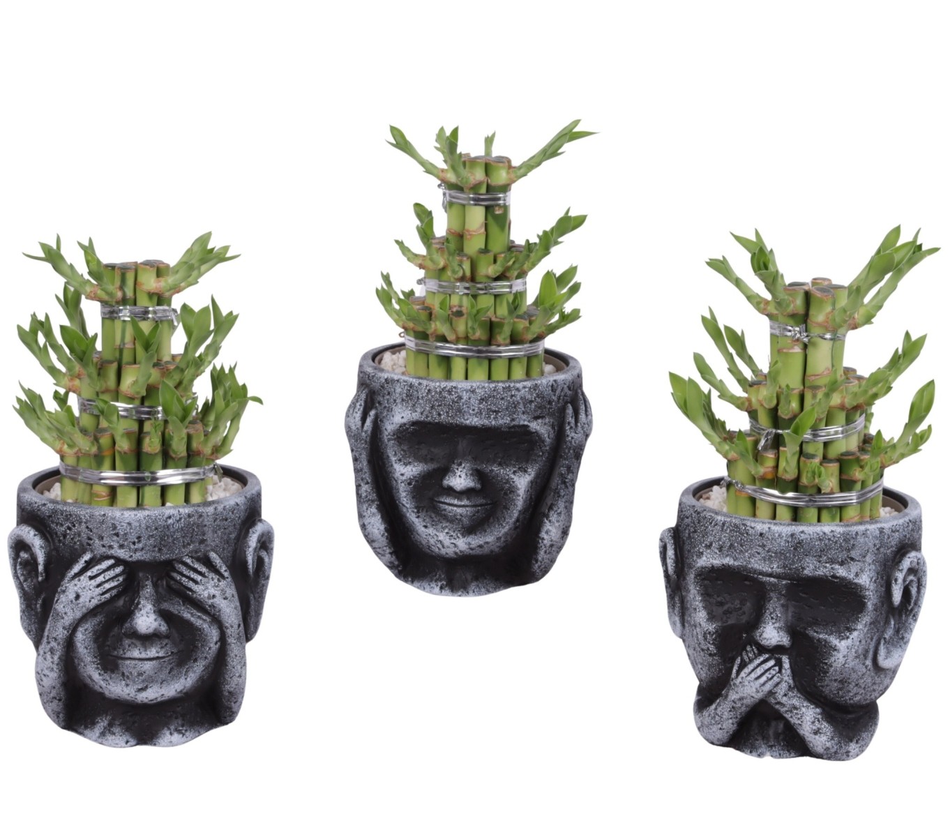 Lucky Bamboo boule à trois étages