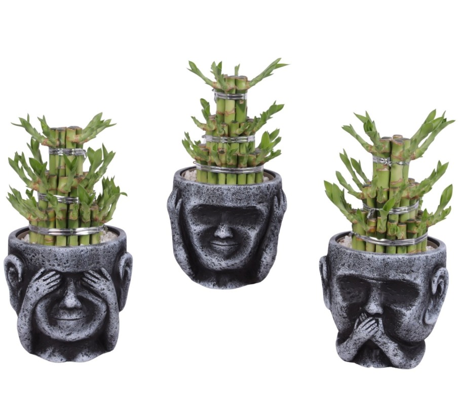 Lucky Bamboo boule à trois étages
