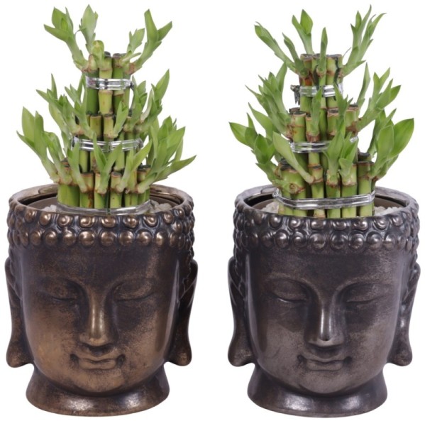 Lucky Bamboo boule à trois étages