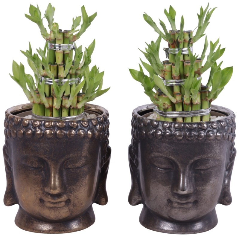 Lucky Bamboo boule à trois étages