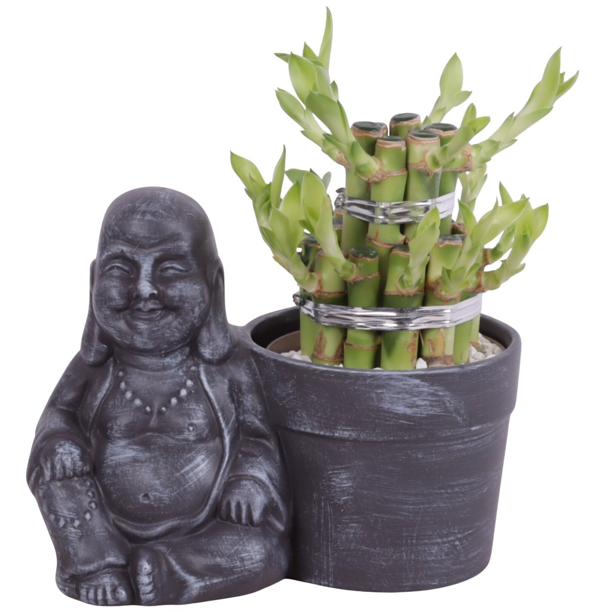 Lucky Bamboo boule à deux étages