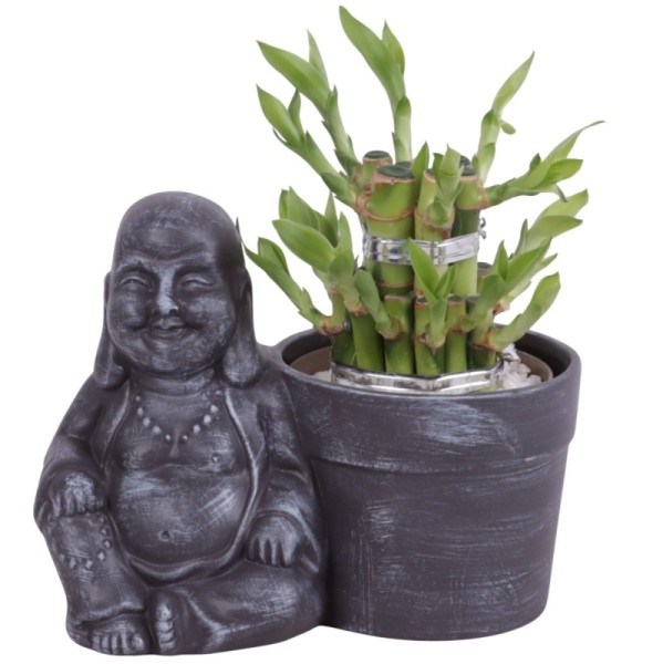 Lucky Bamboo boule à deux étages