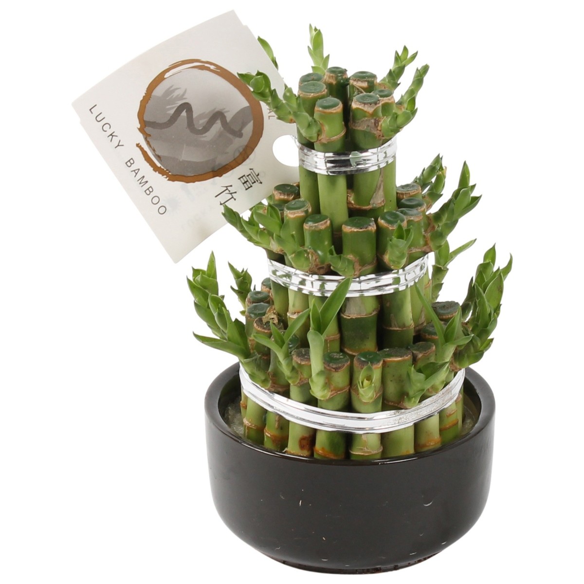 Lucky Bamboo boule à trois étages