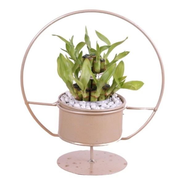 Lucky Bamboo boule à deux étages