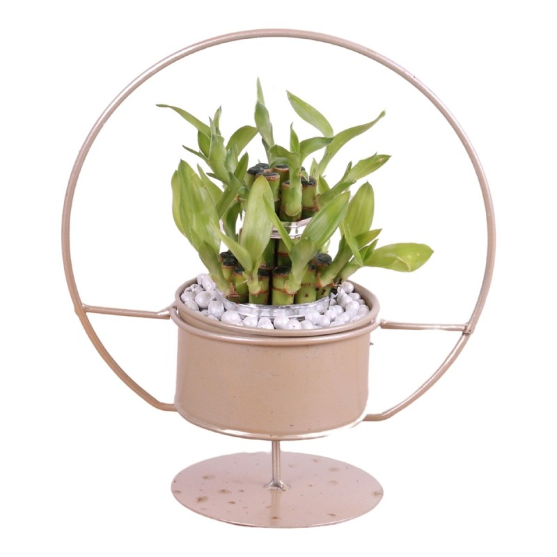 Lucky Bamboo boule à deux étages