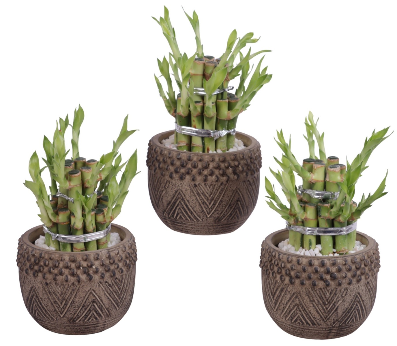Lucky Bamboo boule à deux étages