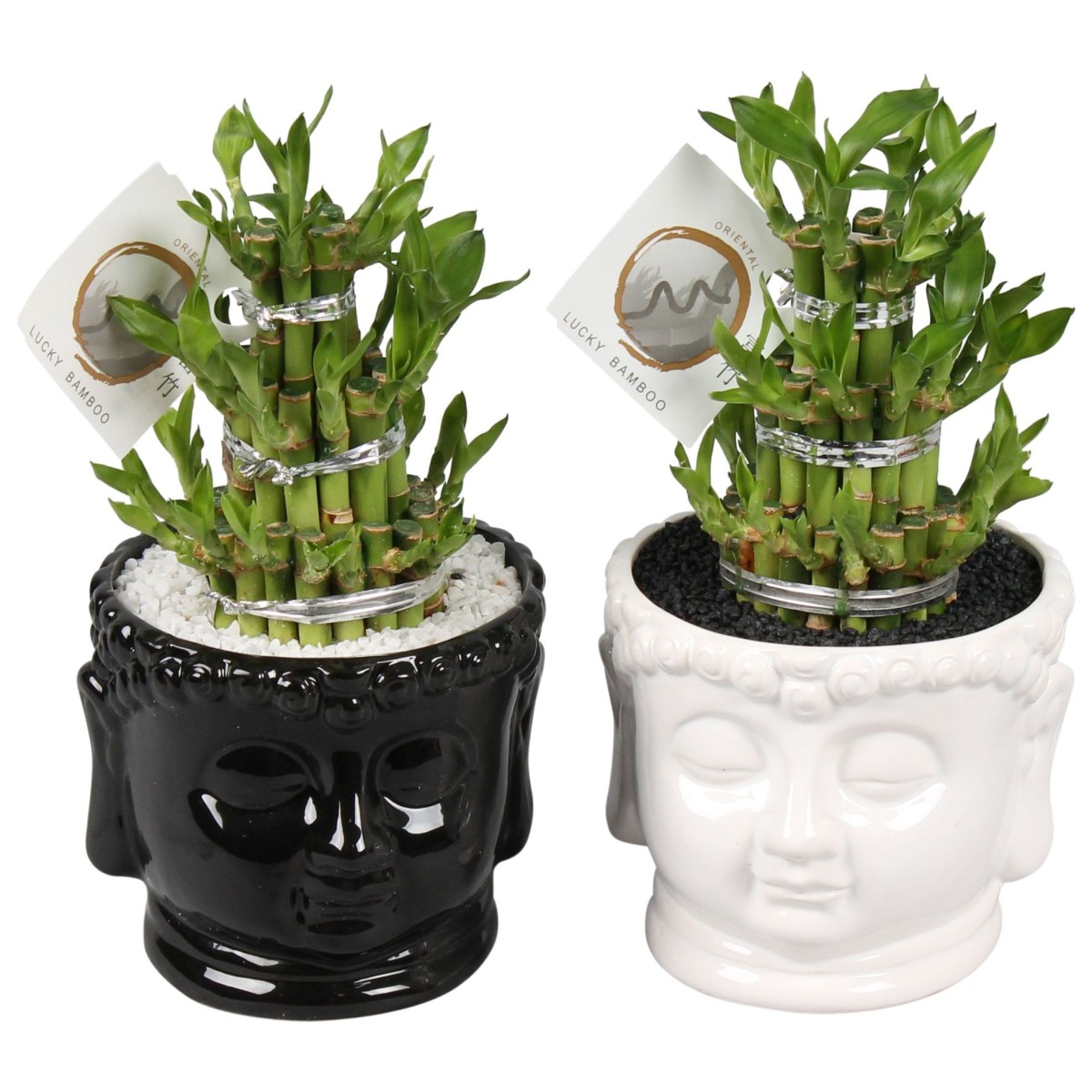 Lucky Bamboo boule à trois étages