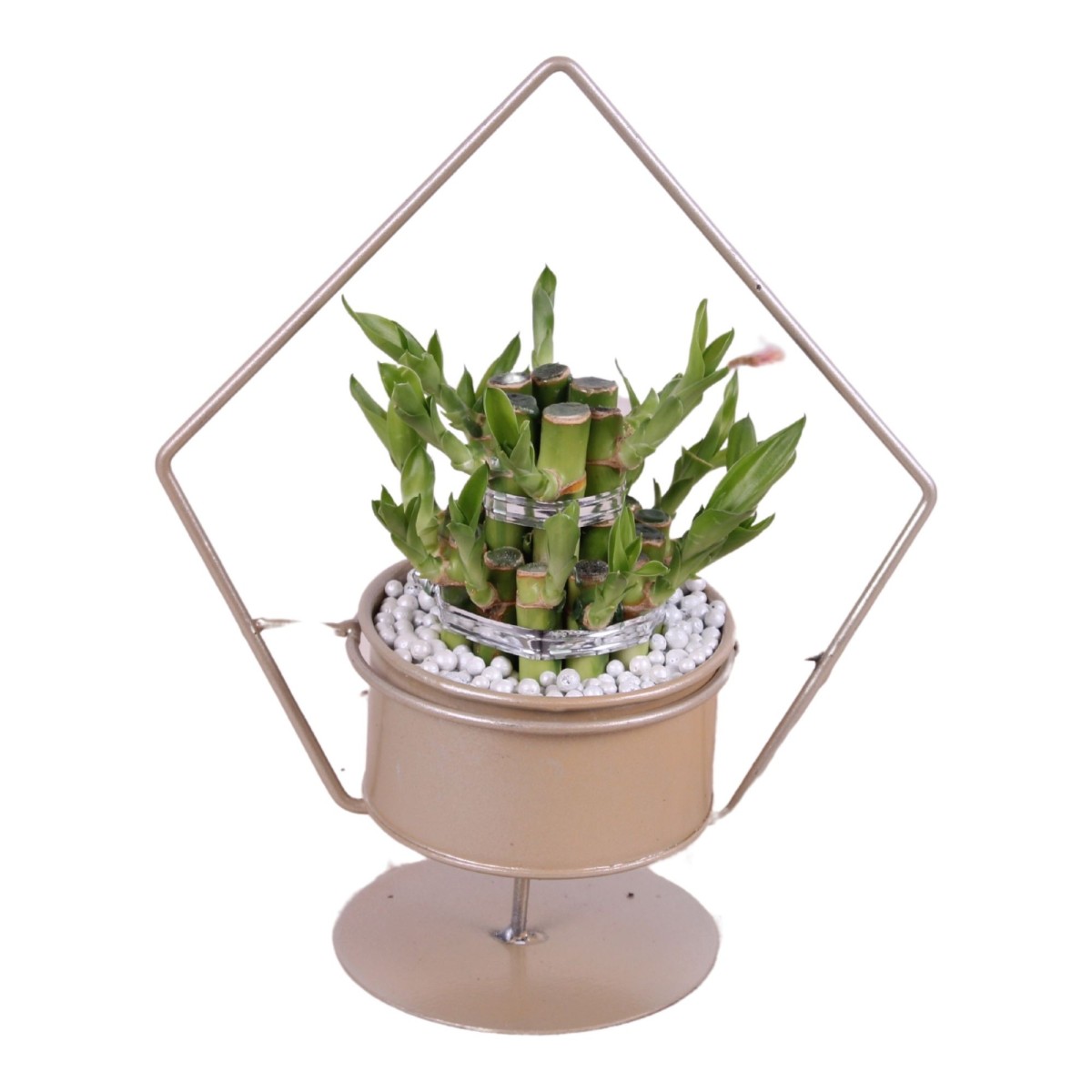 Lucky Bamboo boule à deux étages