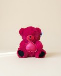 Ourson peluche