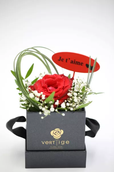 Au Cœur de l'Amour – Roses & Gypsophiles | Verttige