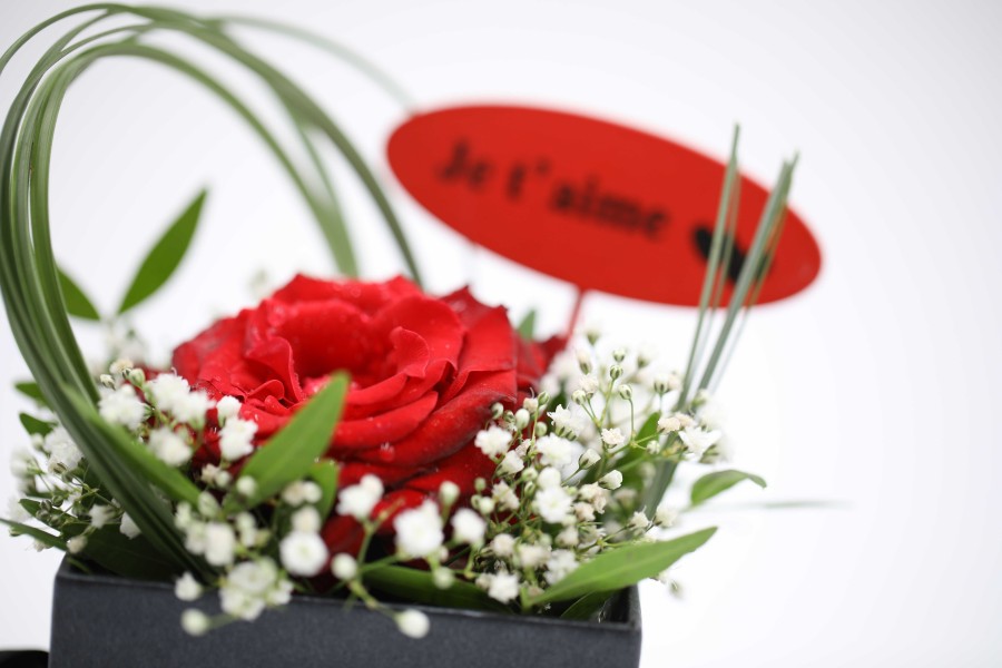 Au Cœur de l'Amour – Roses & Gypsophiles | Verttige