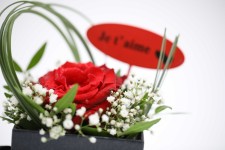 Au Cœur de l'Amour – Roses & Gypsophiles | Verttige