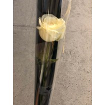 The Rose