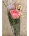 La Rose – Rose d'Équateur Unique | Verttige