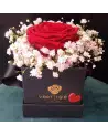 La Pétillante – Rose Baccarat & Gypsophile | Verttige