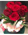 Vert Tige – Roses Baccara & Naomi de Prestige | Verttige