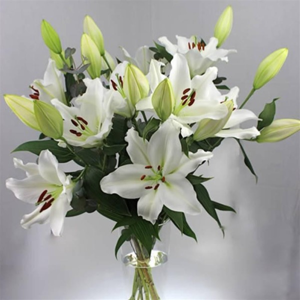 Lili White – Bouquet de 5 Lys Blancs | Verttige