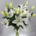 Lily White – vue 2