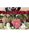 我爱他爱得要死 – vue 3