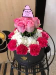 覆盆子布什