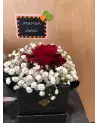 La Pétillante – Rose Baccarat & Gypsophile | Verttige