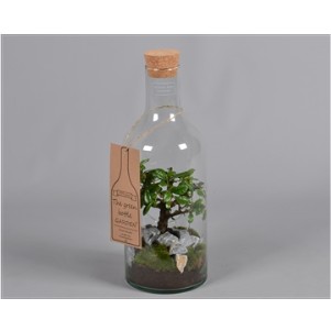 Bouteille Verte a Bonsai