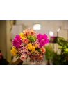 PEPS花束-维生素