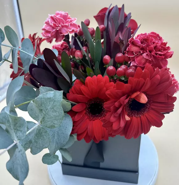 Rouge Velours – vue 2