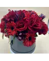 Intense Red – vue 2