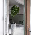 Pot Impérial tacheté blanc – vue 2