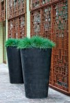 Pot Belle Medium Black