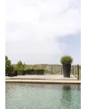 百丽中号黑锅
