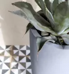 Pot Dax Gris