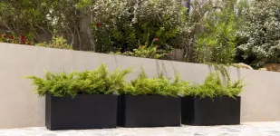 Pot noir JORT – vue 3