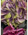 Arc-en-Fleurs