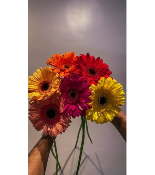 Gerbera Bouquet