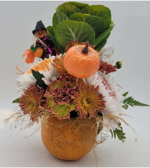 Le citrouille enchanté 🎃