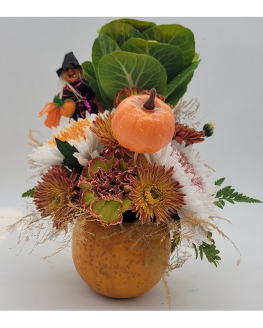 Le citrouille enchanté 🎃
