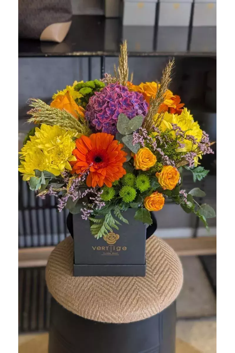 BloomBox