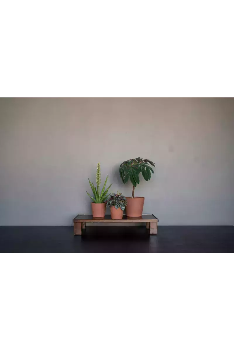 Inez L Pecan Brown – Pot Décoratif | Verttige