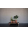Inez L Pecan Brown – Pot Décoratif | Verttige