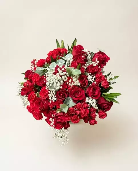 Bouquet de 25 Roses Rouges & Gypsophile | Verttige