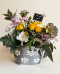 Sweet Tenderness – vue 2