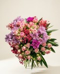 Guapa